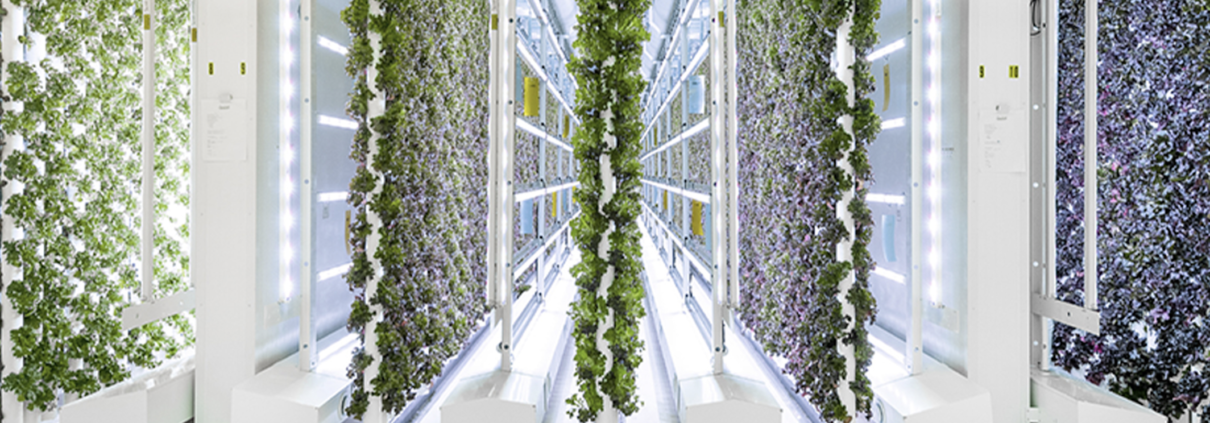 Vertical farm